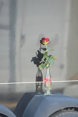 Heims_20150808_MHE2111