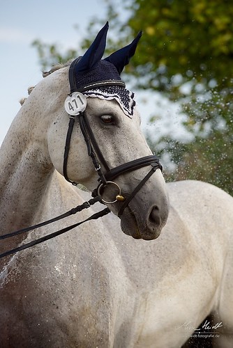 ST471 (Heims_20150808_MHE2603)