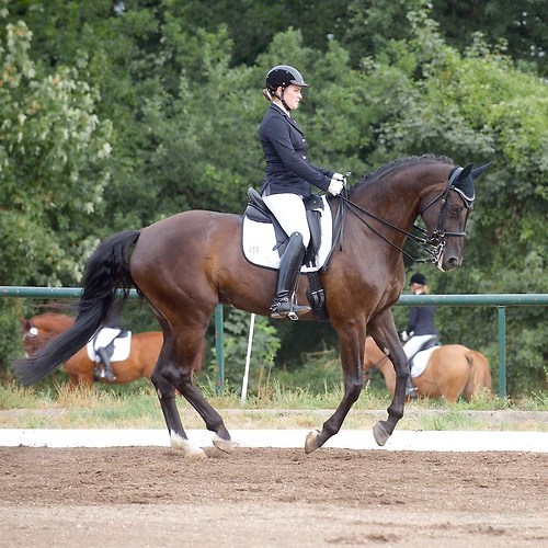 Heims_20150809_MHE2856 - quad