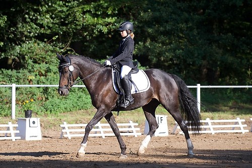 RVFried_Samstag_201508_MHE5888