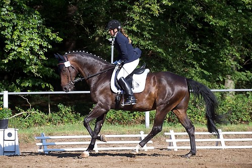 RVFried_Samstag_201508_MHE6019