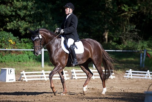 RVFried_Samstag_201508_MHE6069