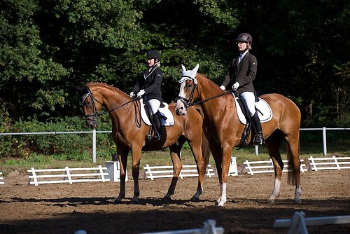 RVFried_Samstag_201508_MHE6129