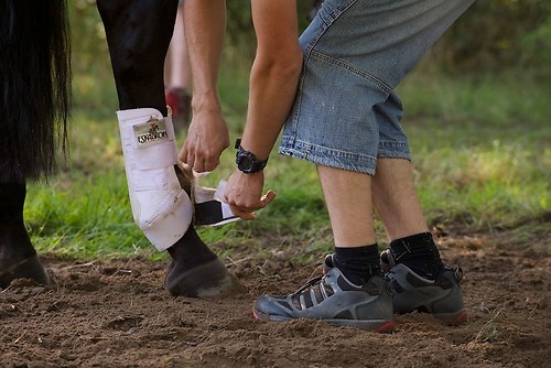 RVFried_Samstag_201508_MHE6148