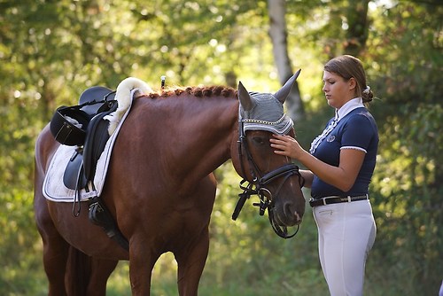 RVFried_Samstag_201508_MHE6419