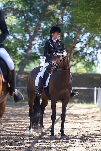 RVFried_Samstag_201508_MHE6440