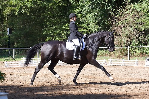 RVFried_Samstag_201508_MHE6463