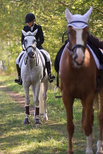 RVFried_Samstag_201508_MHE6675