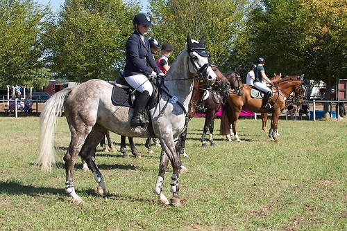 RVFried_Samstag_201508_MHE6803