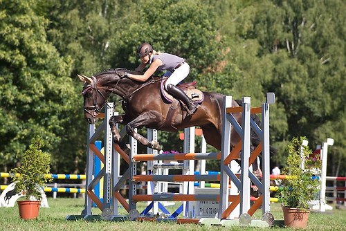 RVFried_Samstag_201508_MHE6852