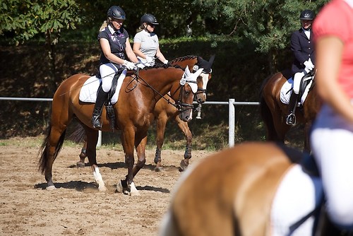 RVFried_Samstag_201508_MHE6896