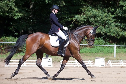 RVFried_Samstag_201508_MHE6906