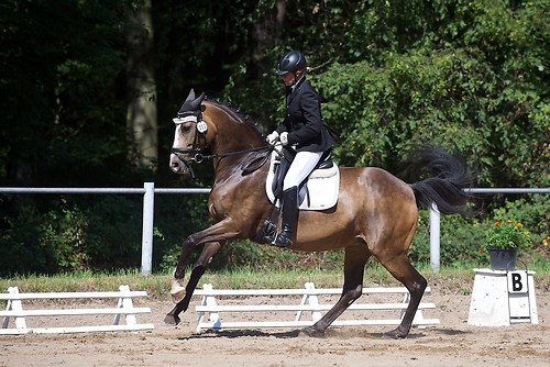 RVFried_Samstag_201508_MHE7076