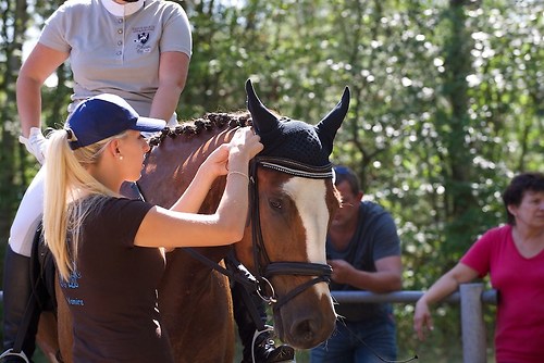 RVFried_Samstag_201508_MHE7243