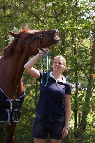 RVFried_Samstag_201508_MHE7530