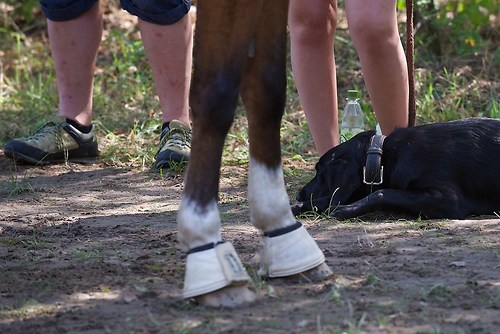 RVFried_Samstag_201508_MHE7651