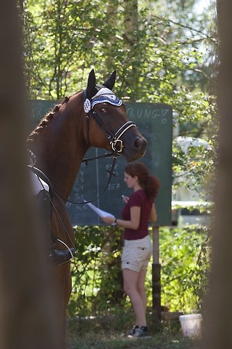 RVFried_Samstag_201508_MHE7657