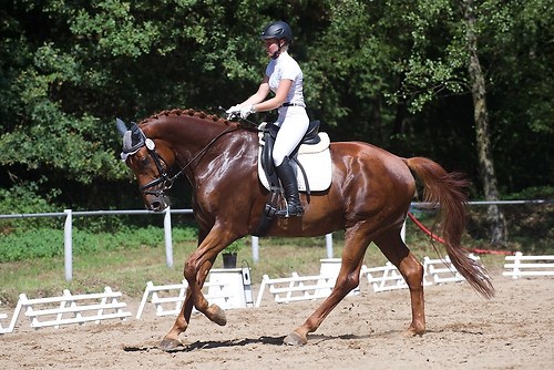 RVFried_Samstag_201508_MHE7773