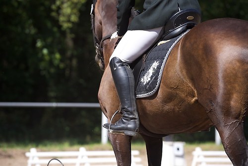 RVFried_Samstag_201508_MHE7796