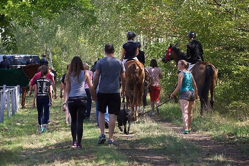 RVFried_Samstag_201508_MHE7937