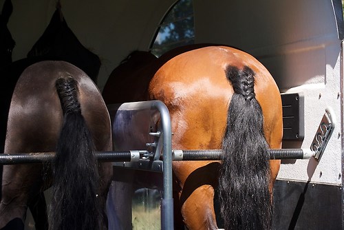 RVFried_Samstag_201508_MHE7942