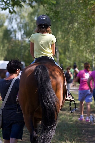 RVFried_Samstag_201508_MHE7938