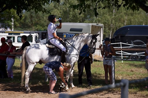 RVFried_Samstag_201508_MHE7963