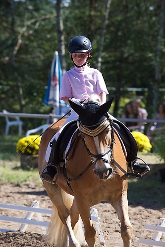 RVFried_Samstag_201508_MHE8041