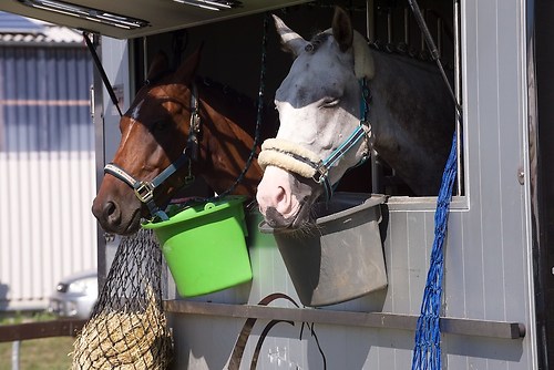 RVFried_Samstag_201508_MHE8595