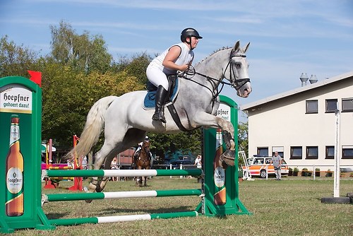 RVFried_Samstag_201508_MHE8983