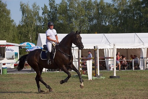 RVFried_Samstag_201508_MHE9064