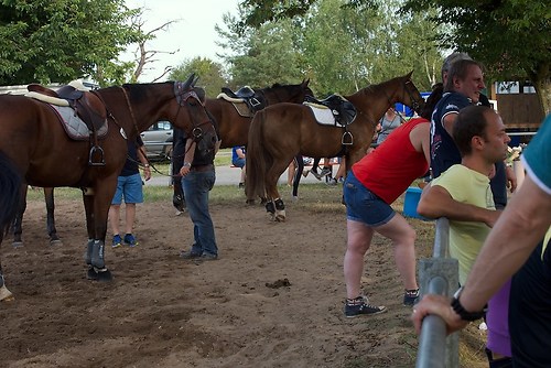 RVFried_Samstag_201508_MHE9216