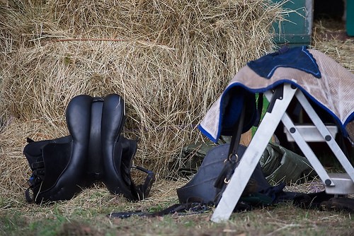 RVFried_Samstag_201508_MHE9664