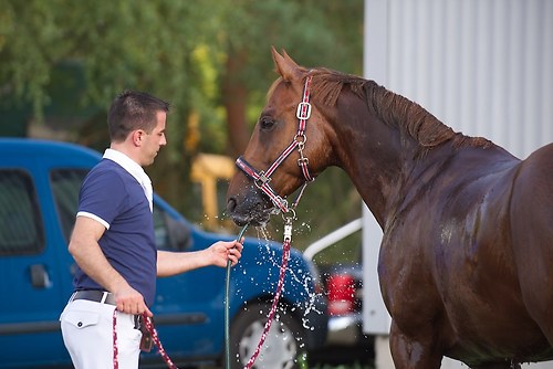 RVFried_Samstag_201508_MHE9671