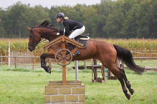 RVMaul_Samstag_201509_MHE4003