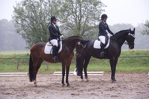 RVMaul_Samstag_201509_MHE4447