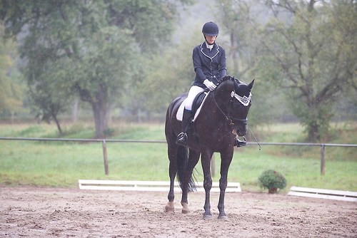 RVMaul_Samstag_201509_MHE4491