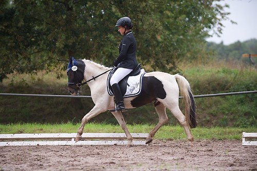 RVMaul_Samstag_201509_MHE4720