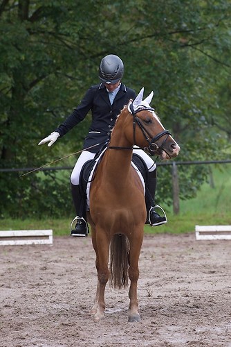 RVMaul_Samstag_201509_MHE4813