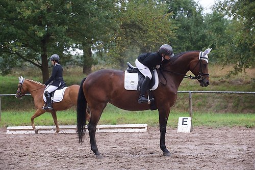 RVMaul_Samstag_201509_MHE4873