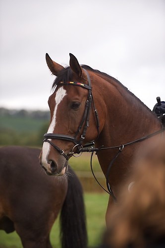 RVMaul_Samstag_201509_MHE4971