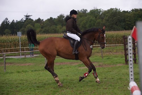 RVMaul_Samstag_201509_MHE4986