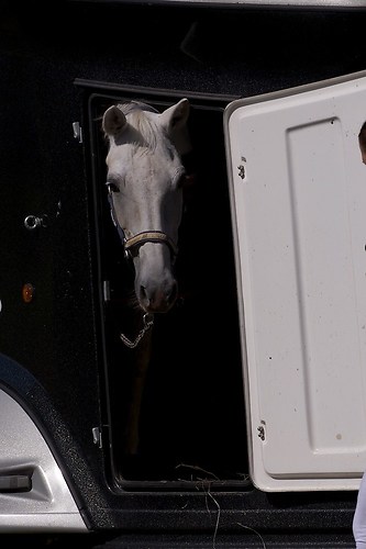 RVMaul_Samstag_201509_MHE5274