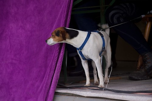 RVMaul_Samstag_201509_MHE5295