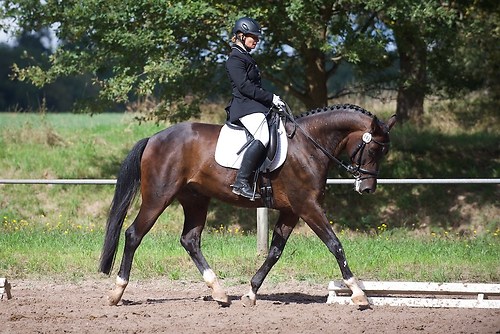 RVMaul_Samstag_201509_MHE5466