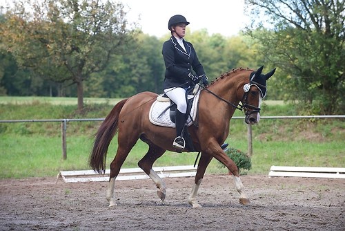 RVMaul_Samstag_201509_MHE5584