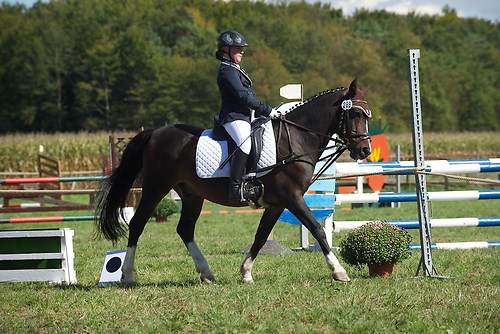 RVMaul_Samstag_201509_MHE5669