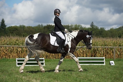 RVMaul_Samstag_201509_MHE5737