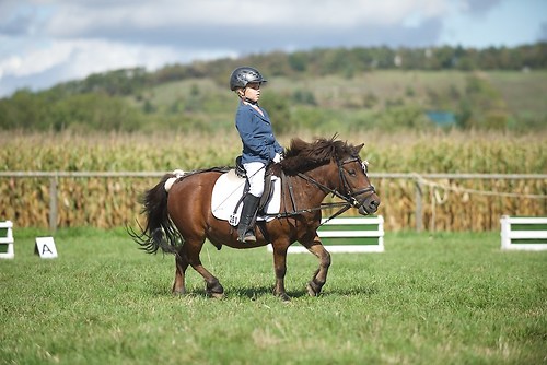 RVMaul_Samstag_201509_MHE6130