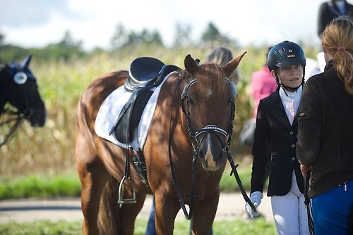 RVMaul_Samstag_201509_MHE6511